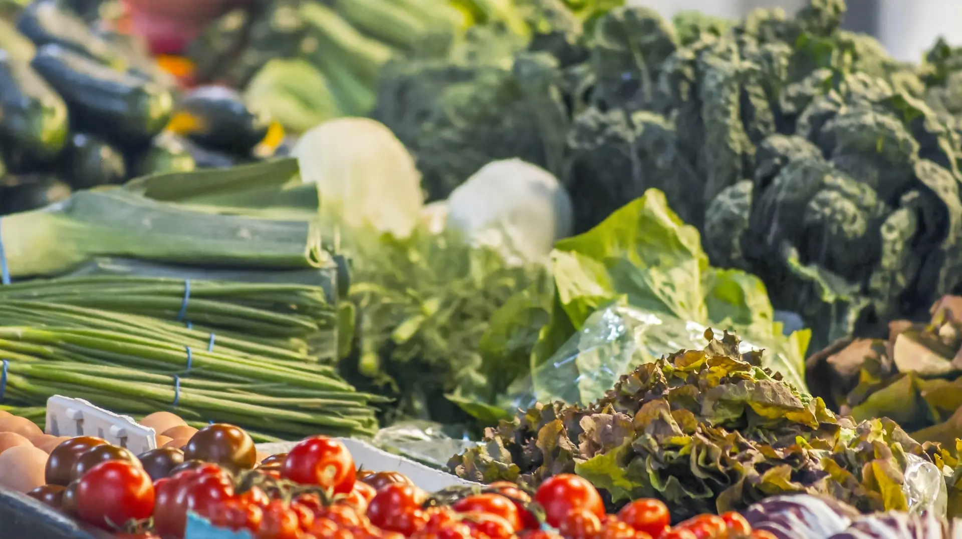 Stoltzfus Farms Produce Market Stand - 23 N Market St, Lancaster, PA 17603, USA - Intel Auctions