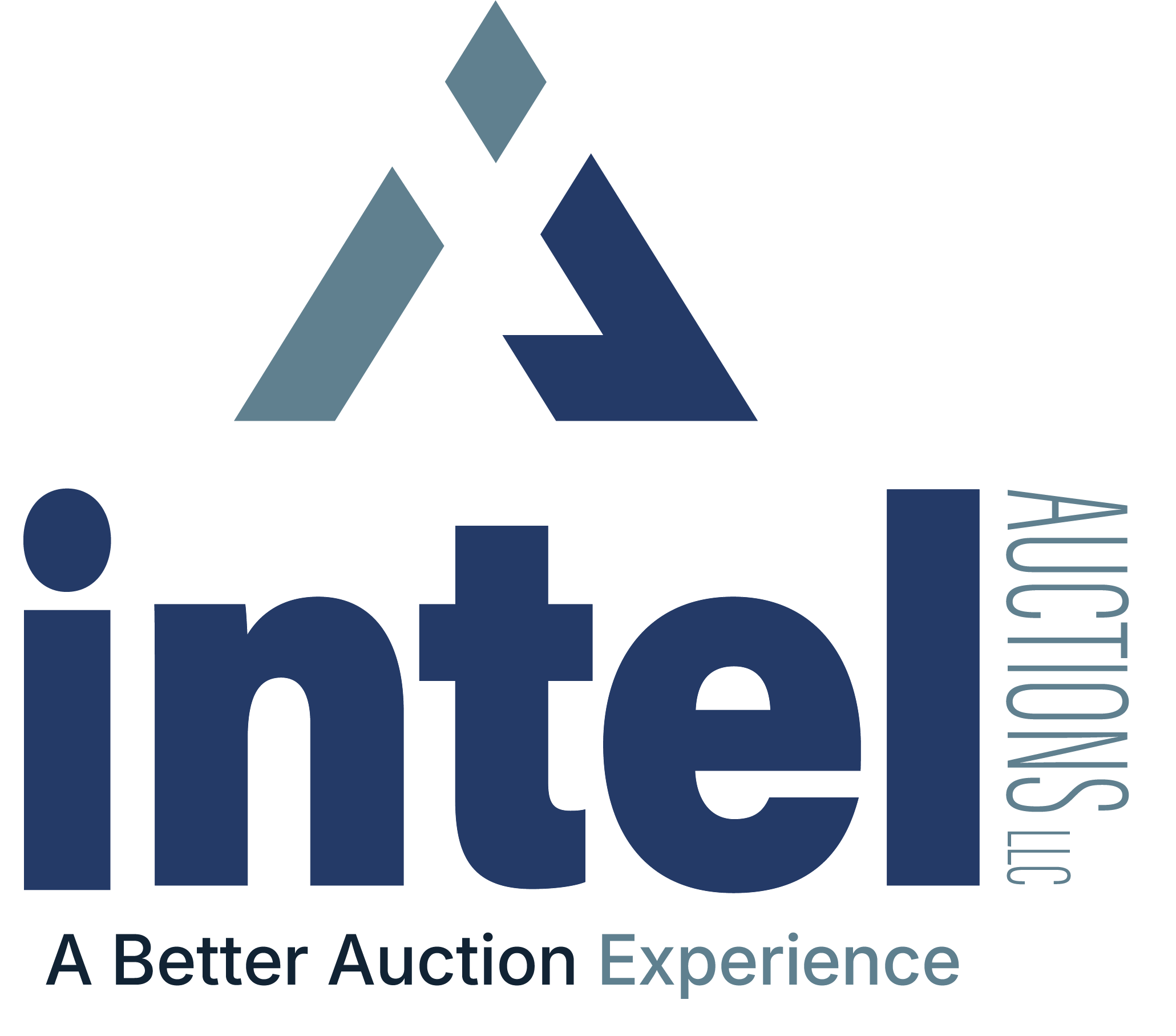 Intel Auctions