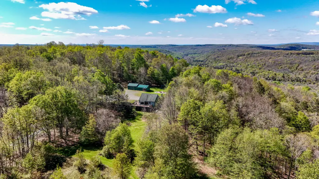 Upper Woods Cabin - 1113 Upper Woods Rd, Honesdale, PA, USA - Intel Auctions