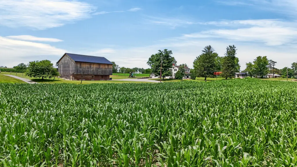 Watsontown Farmette - 3955 Susquehanna Trail, Watsontown, PA, USA - Intel Auctions