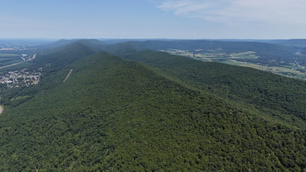 Clinton County Hunting - 880 Phoenix Ln, Mill Hall, PA, USA - Intel Auctions