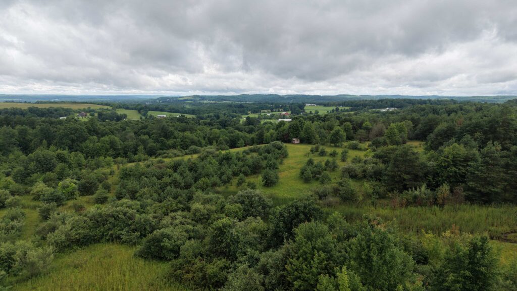 Land Of Opportunity - 363 Mount Zion Road, Sligo, PA, USA - Intel Auctions