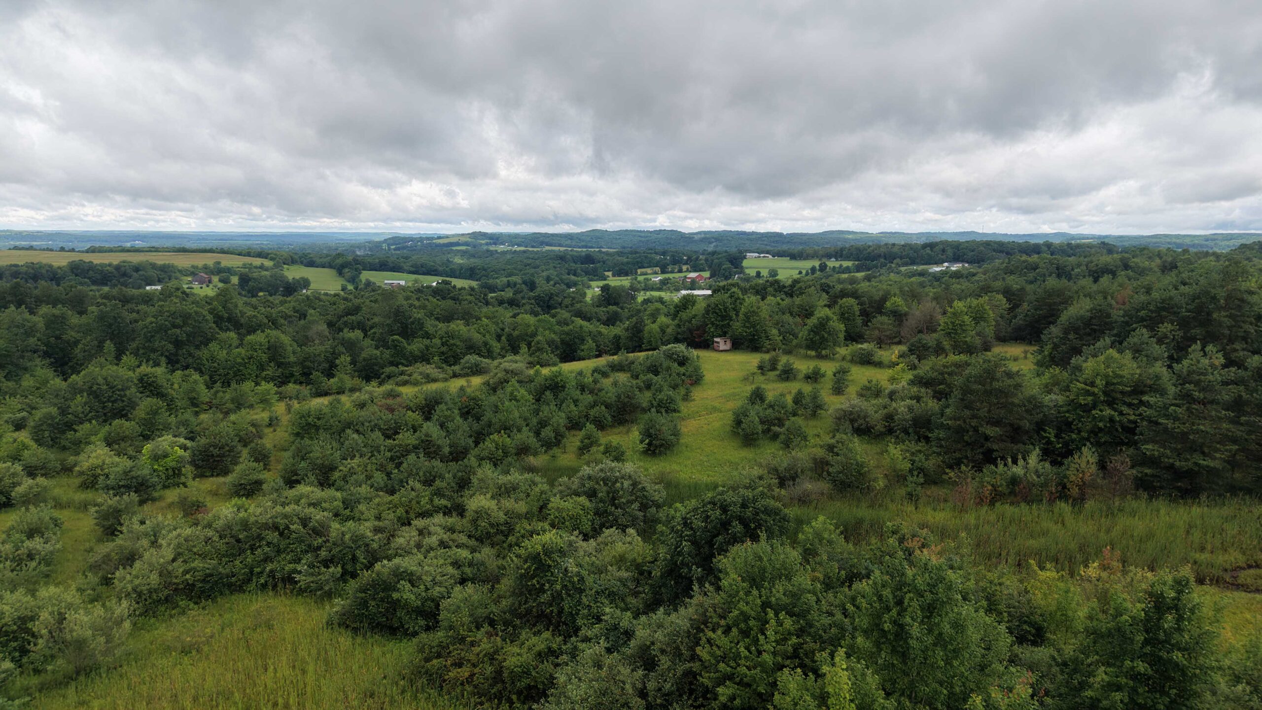 Land Of Opportunity - 363 Mount Zion Road, Sligo, PA, USA - Intel Auctions