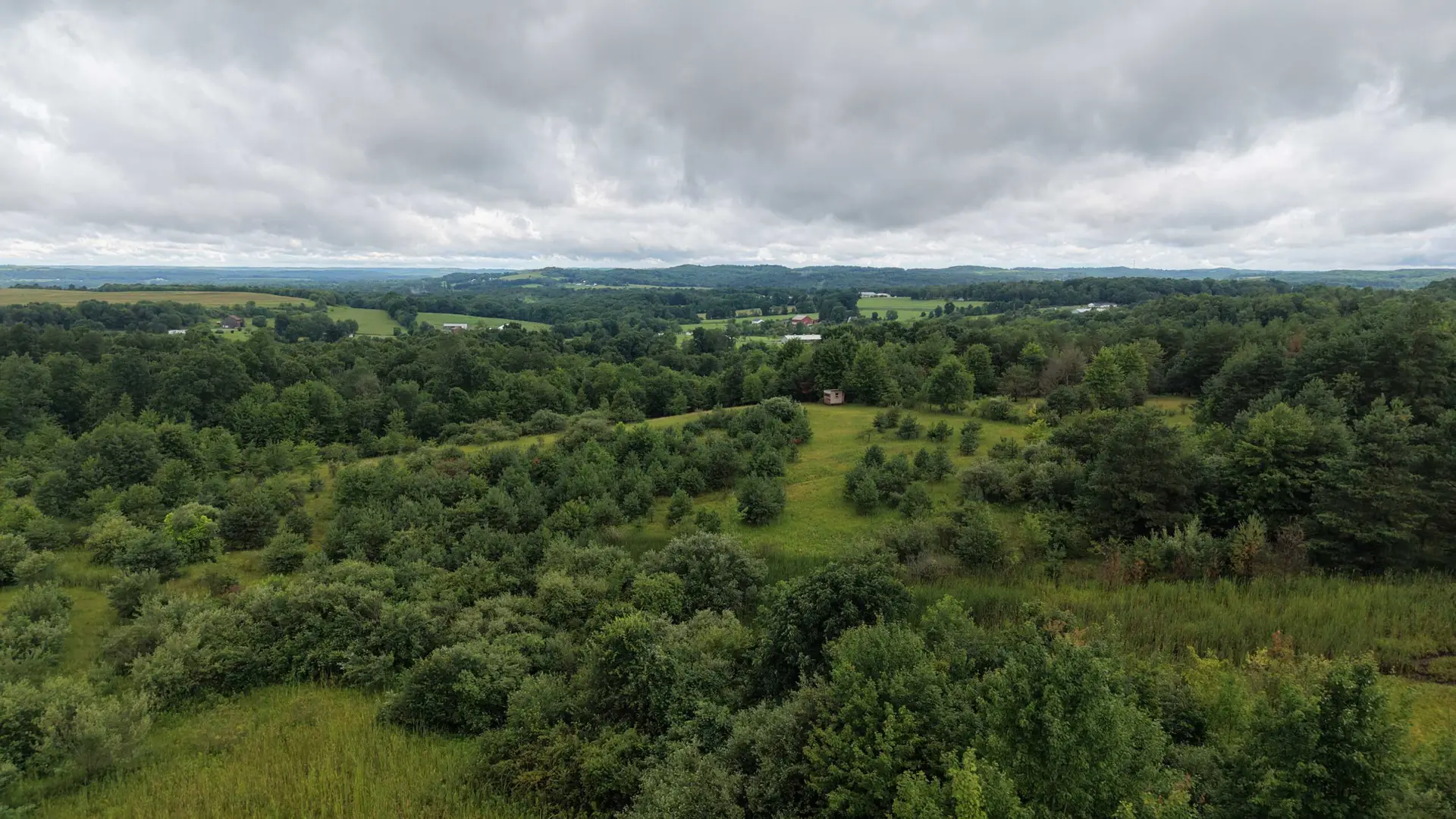 Wildlife Sanctuary - 363 Mount Zion Road, Sligo, PA, USA - Intel Auctions