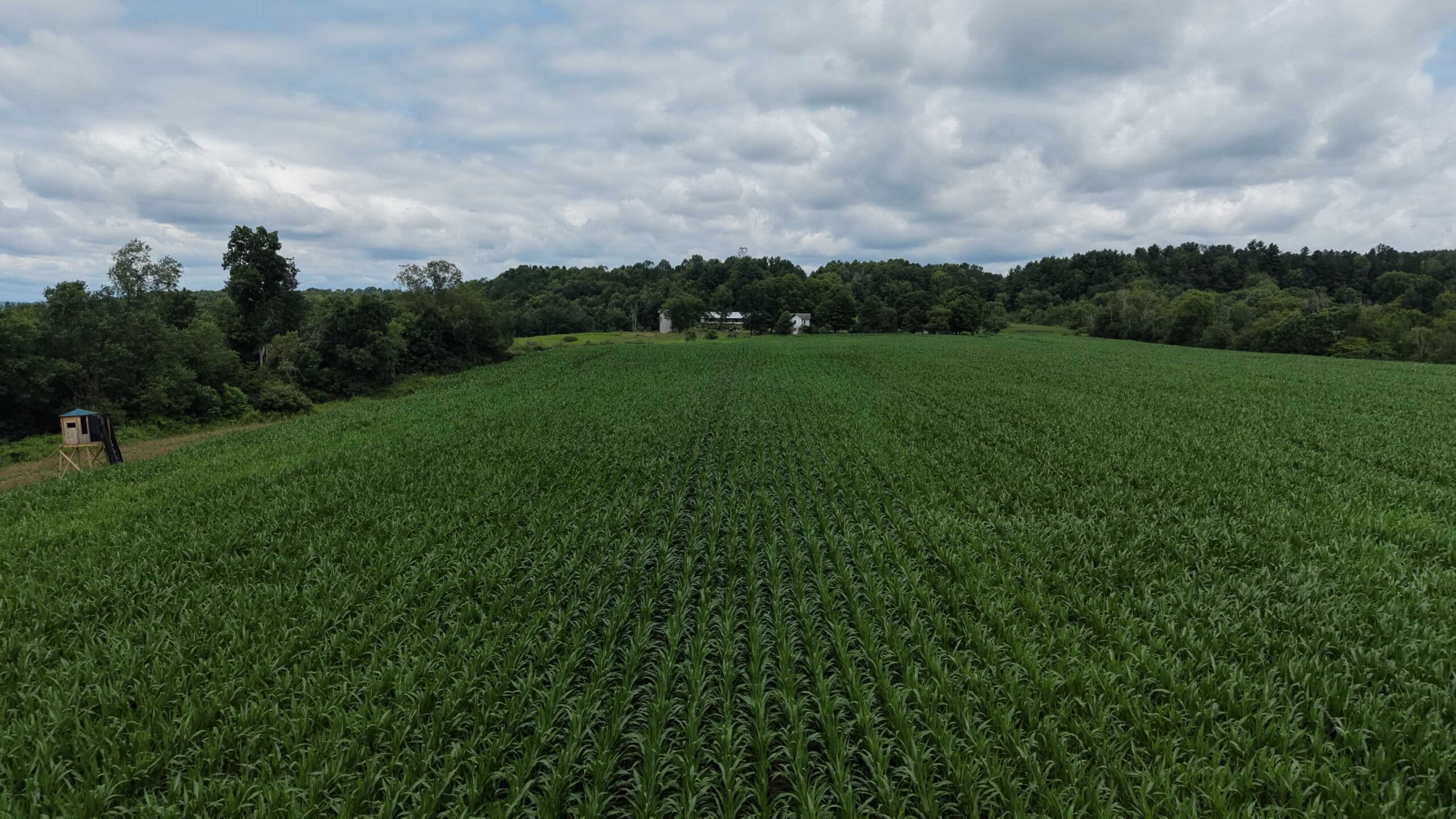 Whitetail Vista - 11108 Route 58, Sligo, PA, USA - Intel Auctions