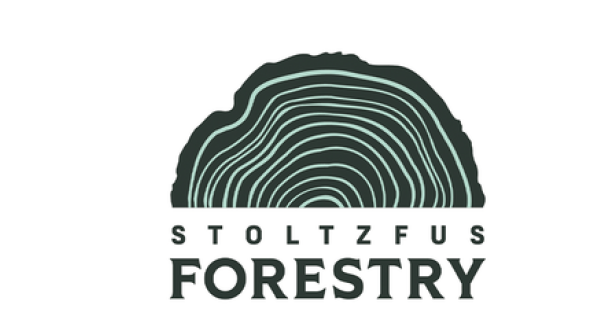 stoltzfus forestry