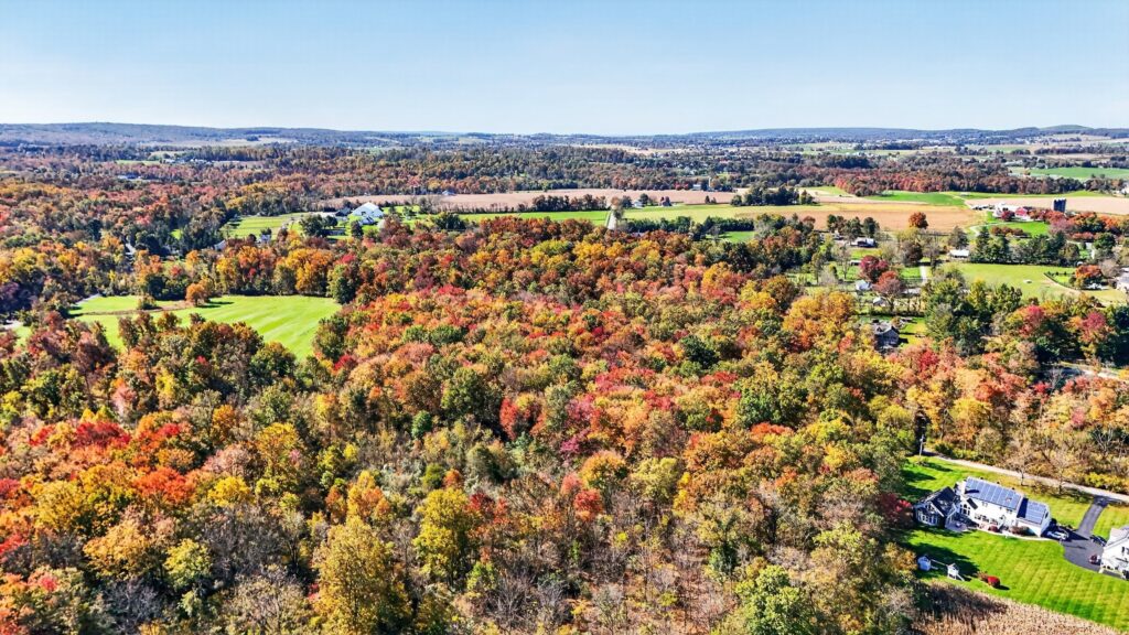 Aerial Wooded Acreage - 314 Isabella Rd, Elverson PA auction